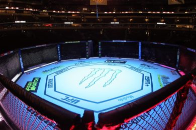 ufc-mma-rizin