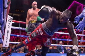 wilder ko