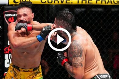 Pereira-Hernandez-UFC