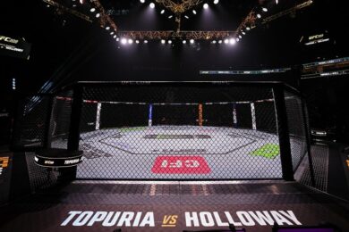 UFC-308