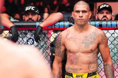 alex-pereira-ufc-mma