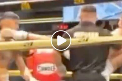 mma-ko-boxe-vid&eacute;o