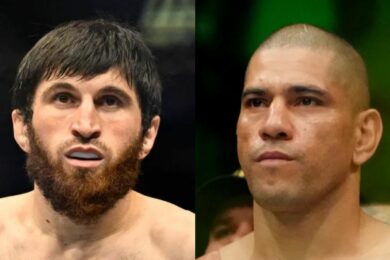 Alex-Pereira-Magomed-Ankalaev