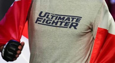 the-utlimate-fighter-ufc-mma