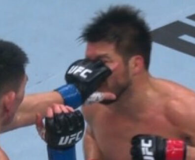 Cejudo-Herzog-ufc