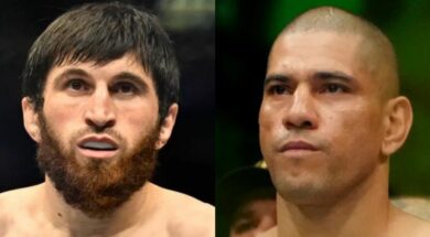 alex-pereira-ankalaev-ufc-313-mma