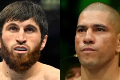 alex-pereira-ankalaev-ufc-313-mma
