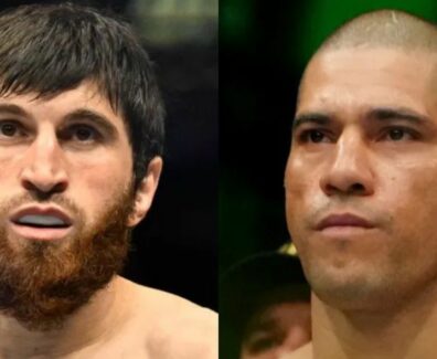 alex-pereira-ankalaev-ufc-313-mma