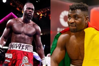 ngannou-wilder-boxe-mma