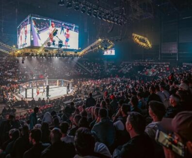 ufc-adesanya-imavov-mma