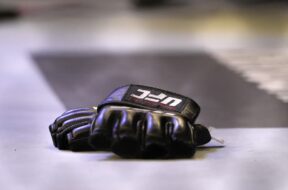 Andrei-Arlovski-boxe-ufc