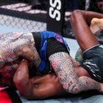 Brady-Edwards-UFC