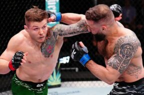 Dolidze-Vettori-UFC