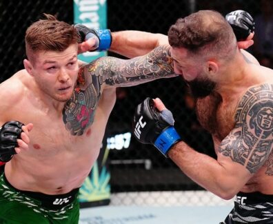 Dolidze-Vettori-UFC