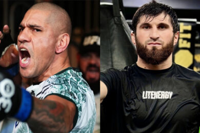 Magomed-Ankalaev-Alex-Pereira-défi
