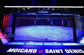 Octogone-UFC-Paris