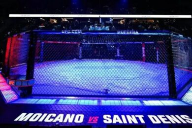 Octogone-UFC-Paris