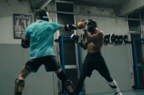 Parnasse-Sola-MMA