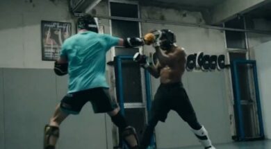 Parnasse-Sola-MMA