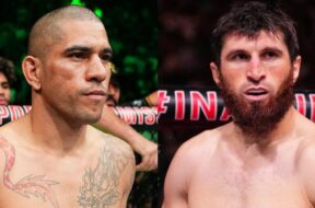 alex-pereira-magomed-ankalaev-ufc-mma