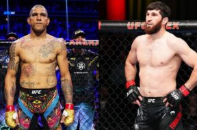 alex-pereira-magomed-ankalaev-ufc-mma