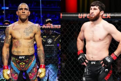 alex-pereira-magomed-ankalaev-ufc-mma