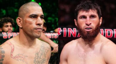 alex-pereira-magomed-ankalaev-ufc-mma