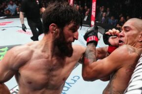 alex-pereira-magomed-ankalaev-ufc-mma