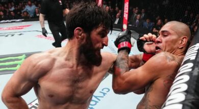 alex-pereira-magomed-ankalaev-ufc-mma