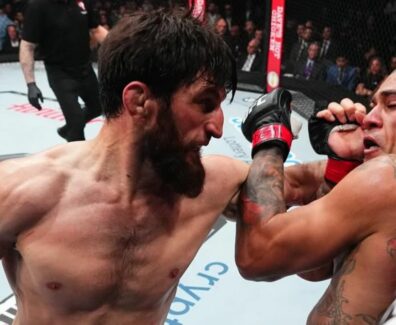 alex-pereira-magomed-ankalaev-ufc-mma