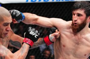 alex-pereira-magomed-ankalaev-ufc-mma