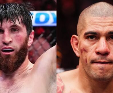 alex-pereira-magomed-ankalaev-ufc-mma
