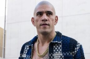 alex-pereira-ufc-mma