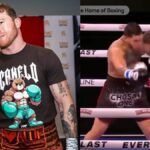 Edgar Berlanga, boxeur portoricain et ancien adversaire de Canelo Alvarez, affrontait Jonathan Ortiz à Orlando. Le pugiliste s'est notamment imposé par TKO au 1er round.