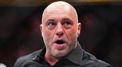 joe-rogan-ufc-mma