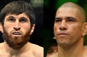 magomed-ankalaev-alex-pereira-ufc-mma