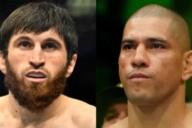 magomed-ankalaev-alex-pereira-ufc-mma