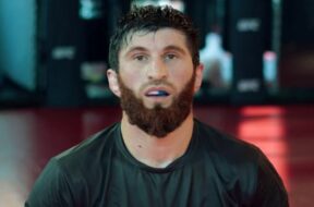 magomed-ankalaev-ufc-mma