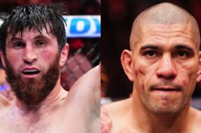 alex-pereira-magomed-ankalaev-mma-ufc