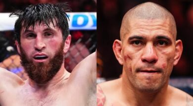 alex-pereira-magomed-ankalaev-mma-ufc