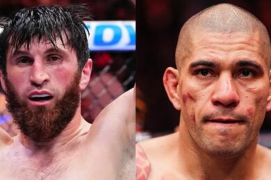 alex-pereira-magomed-ankalaev-mma-ufc