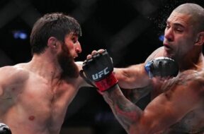 alex-pereira-magomed-ankalaev-ufc-mma