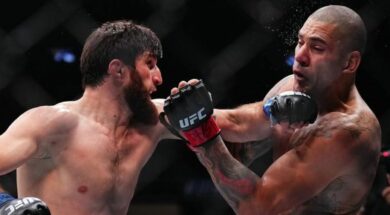 alex-pereira-magomed-ankalaev-ufc-mma