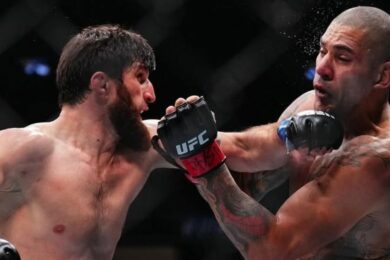 alex-pereira-magomed-ankalaev-ufc-mma