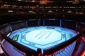cage-ufc-mma