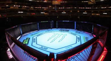 cage-ufc-mma