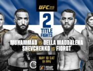 Affiche-UFC-315