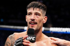 Joel-Alvarez-UFC
