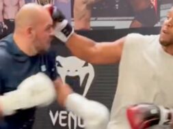 ciryl-gane-sparring-ufc-mma-sofian laïdounii-glory-vidéo