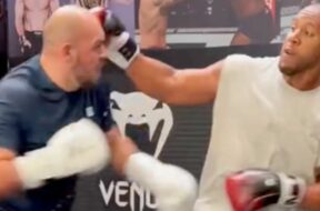 ciryl-gane-sparring-ufc-mma-sofian laïdounii-glory-vidéo